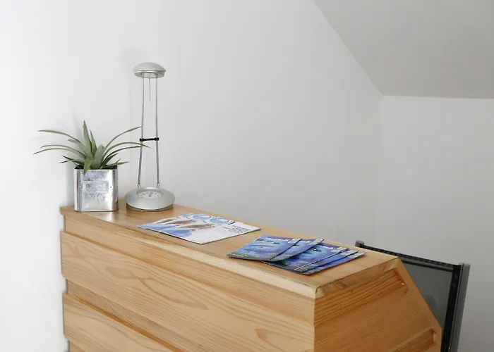 Auberge de jeunesse City's Ponta Delgada