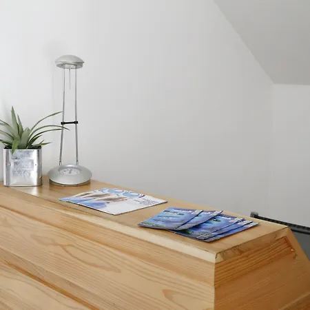 ホステル City's ポンタ・デルガダ